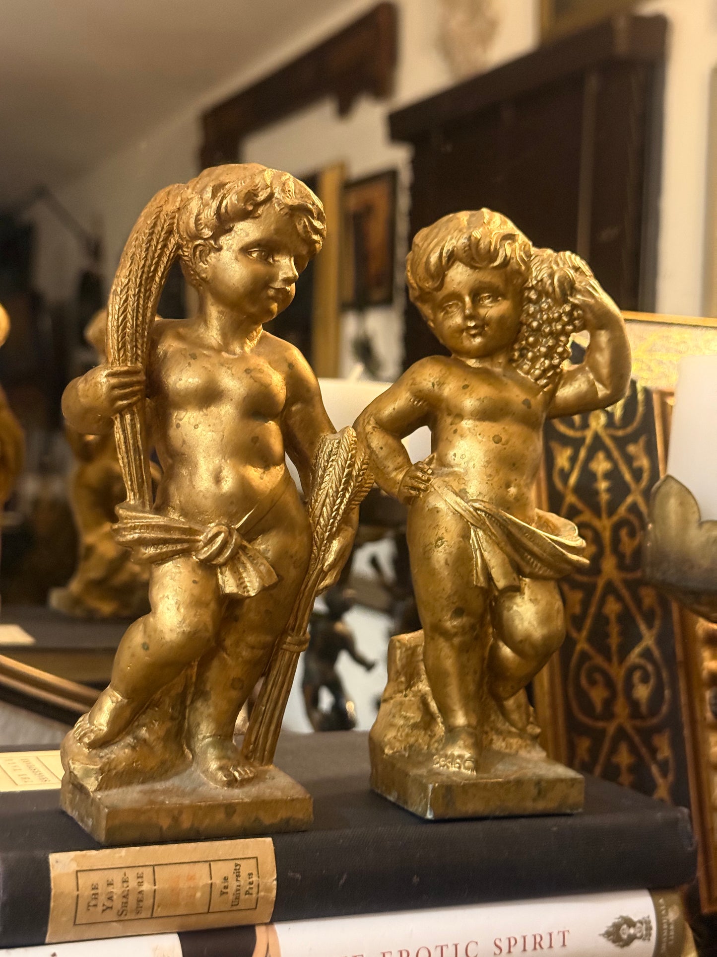 Cheeky Cherubs