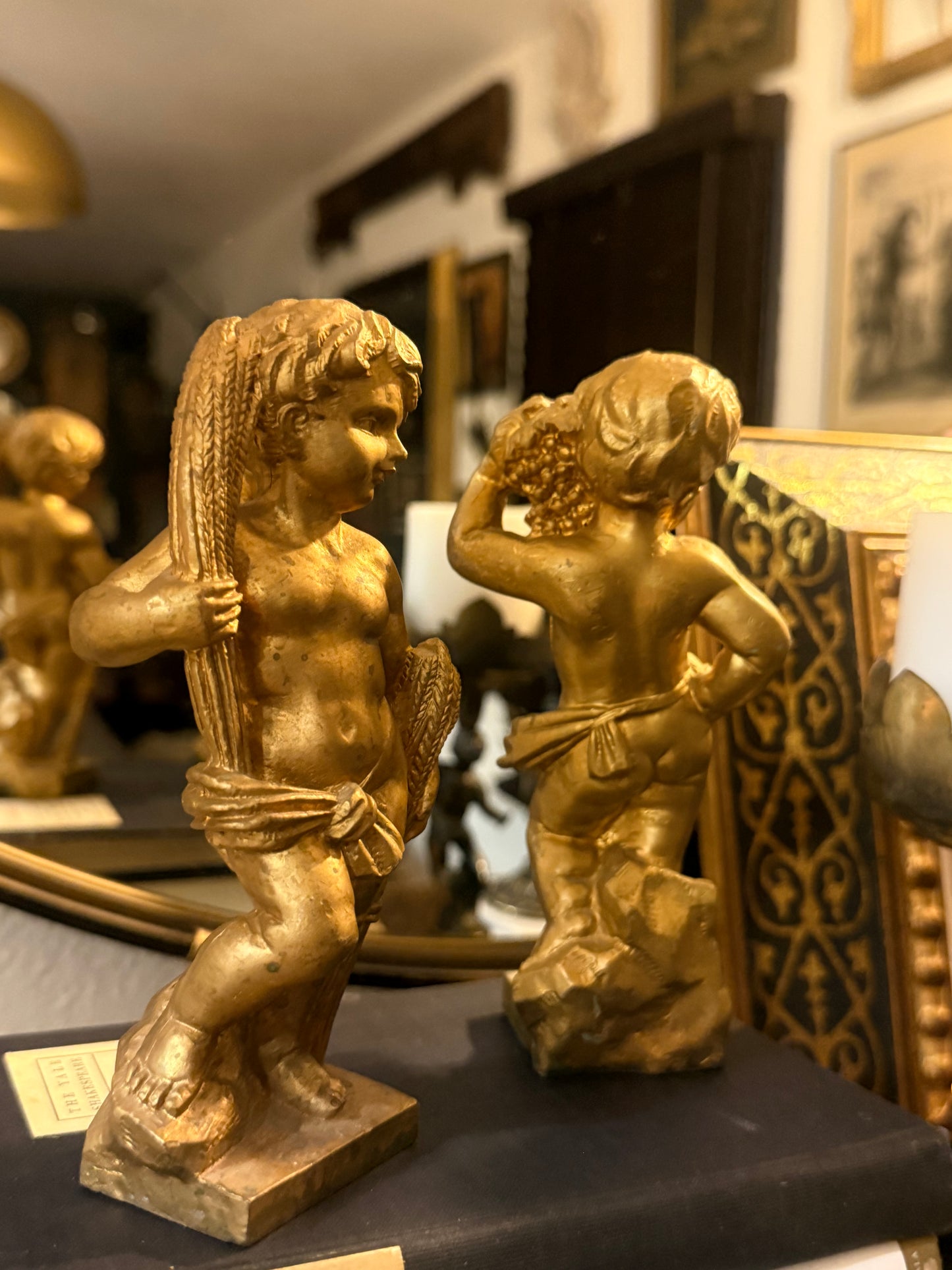 Cheeky Cherubs