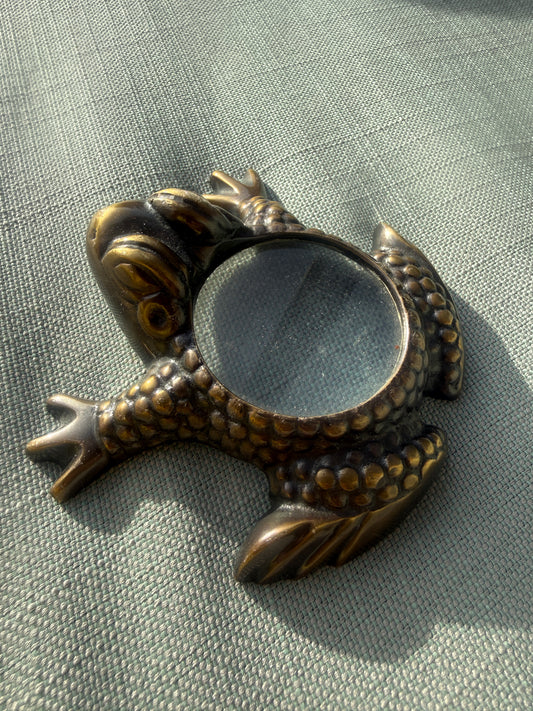 Frog Reader Glass